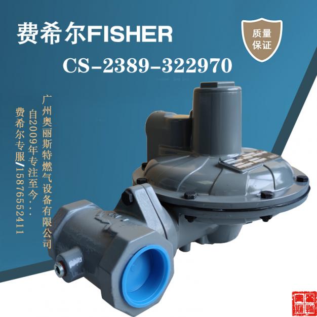 CS-2389-322970費(fèi)希爾CS400IN-5E/C7調(diào)壓閥