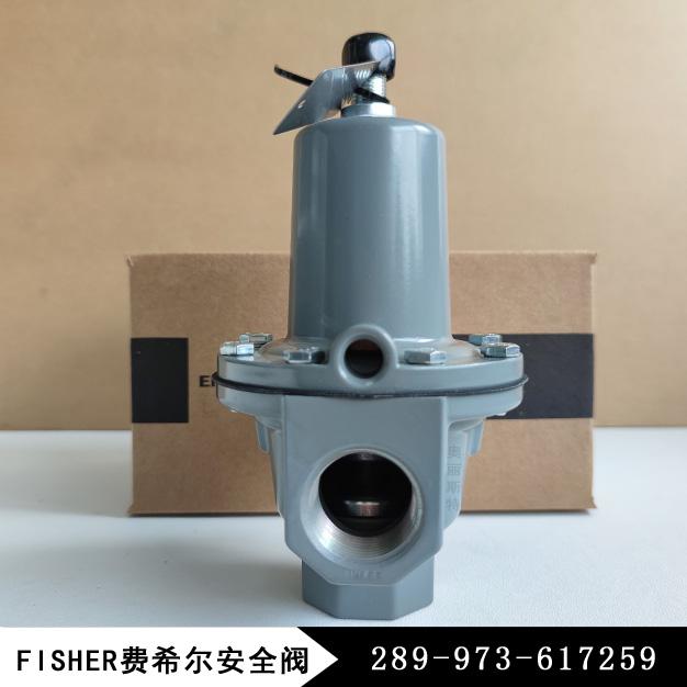 Fisher費(fèi)希爾289H-42新編碼289-973-617259安全放散閥/安全閥